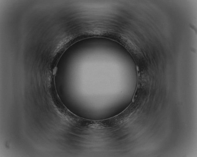 X0000091700544200709071351