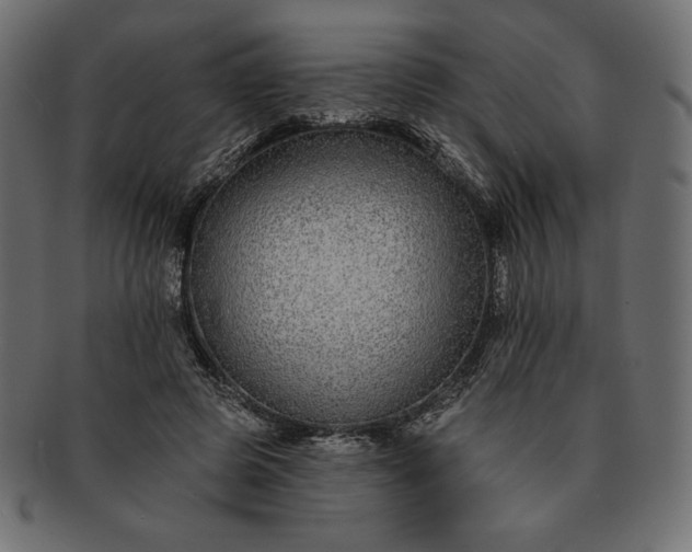 X0000091700545200709071351