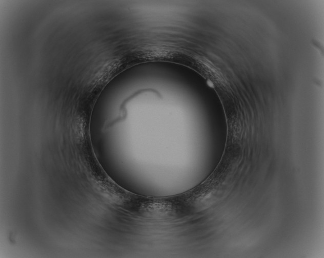 X0000091700546200709071351