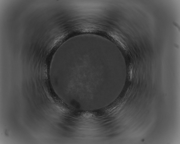 X0000091700547200709071351