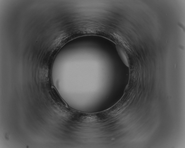 X0000091700548200709071351