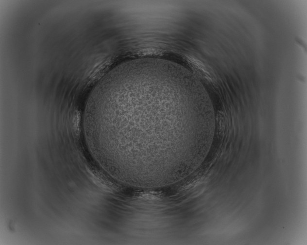 X0000091700550200709071351