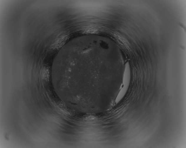 X0000091700551200709071351