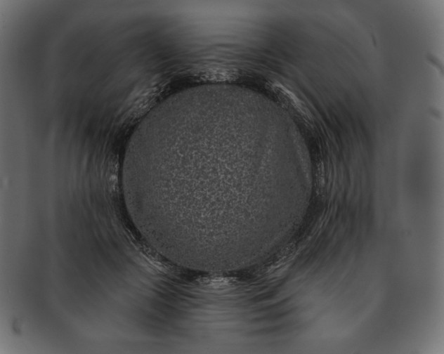 X0000091700553200709071351