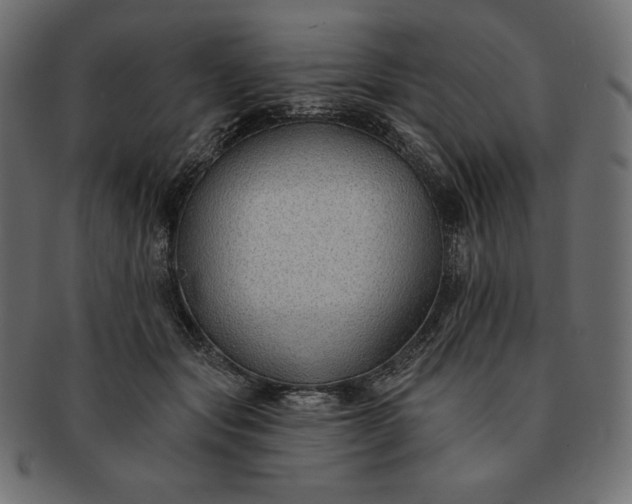 X0000091700557200709071351