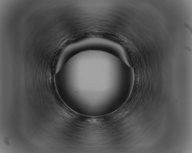 X0000091700558200709071351