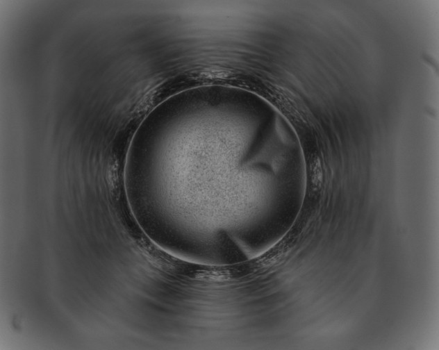 X0000091700559200709071351