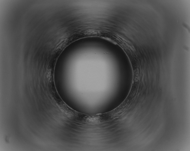 X0000091700560200709071351