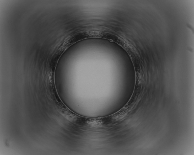 X0000091700561200709071351