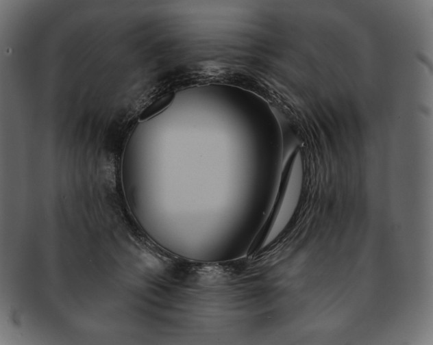 X0000091700562200709071351