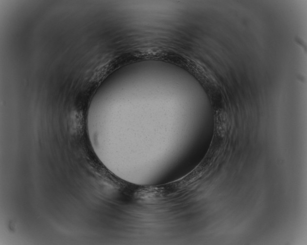 X0000091700563200709071351