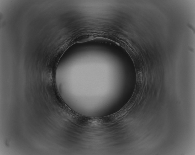 X0000091700564200709071351