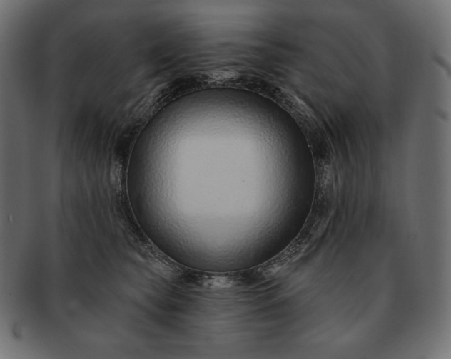 X0000091700565200709071351