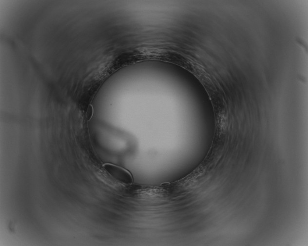 X0000091700567200709071351