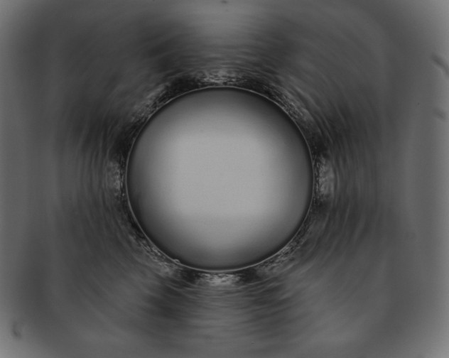 X0000091700569200709071351