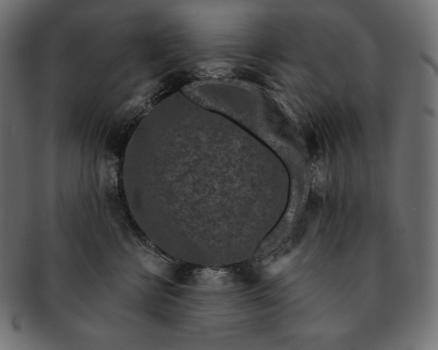 X0000091700570200709071351