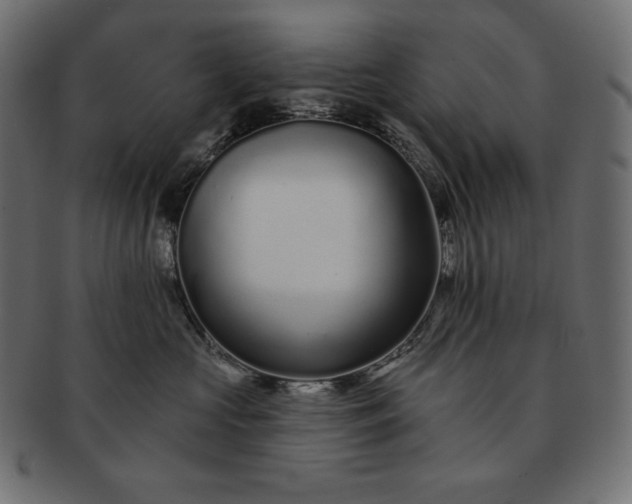 X0000091700573200709071351