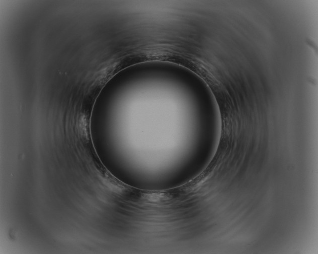 X0000091700575200709071351