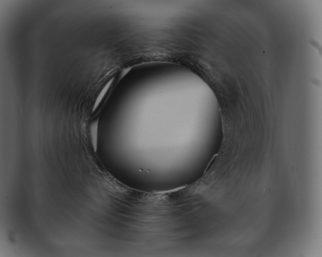 X0000091700576200709071351