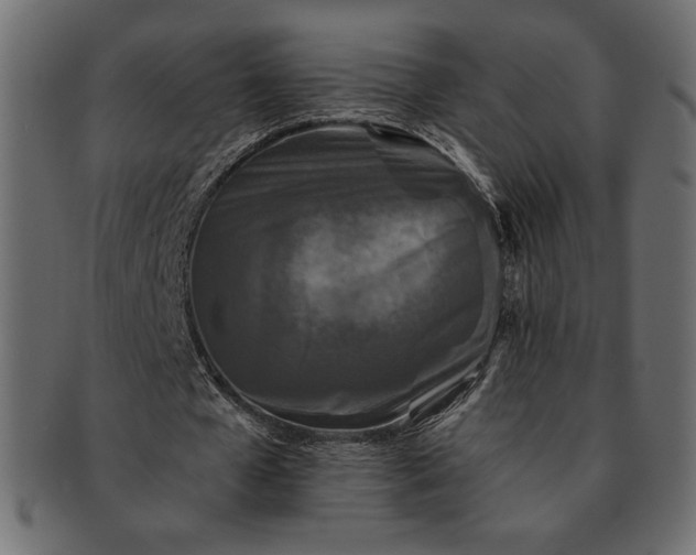 X0000091700577200709071351