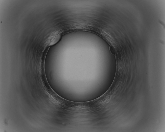 X0000091700578200709071351