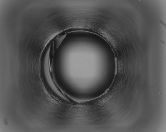 X0000091700580200709071351