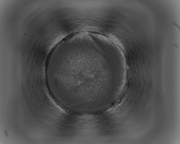 X0000091700581200709071351