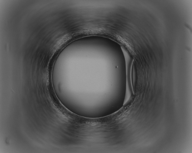 X0000091700582200709071351