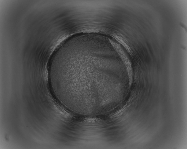 X0000091700584200709071351