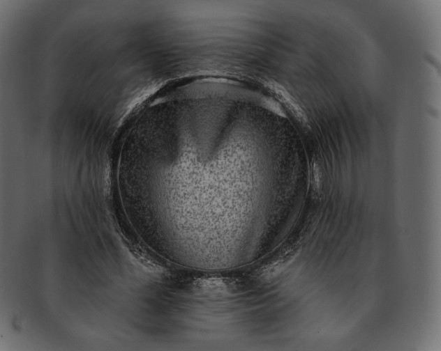 X0000091700588200709071351