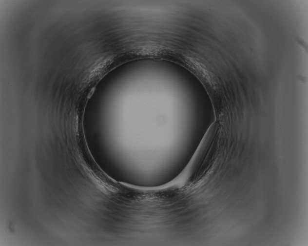 X0000091700589200709071351