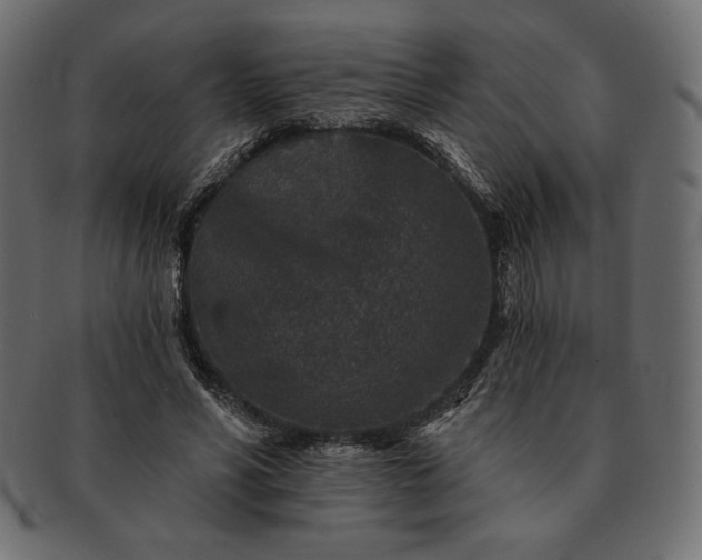 X0000091700590200709071351