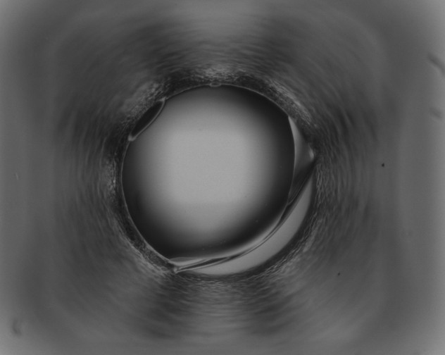 X0000091700593200709071350