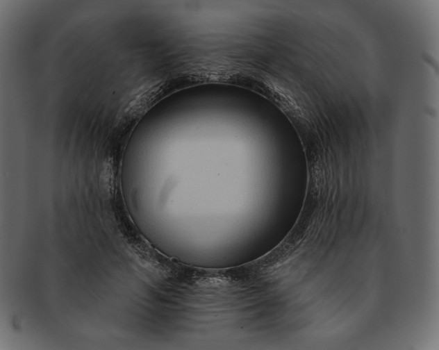 X0000091700594200709071350