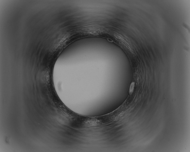 X0000091700595200709071350