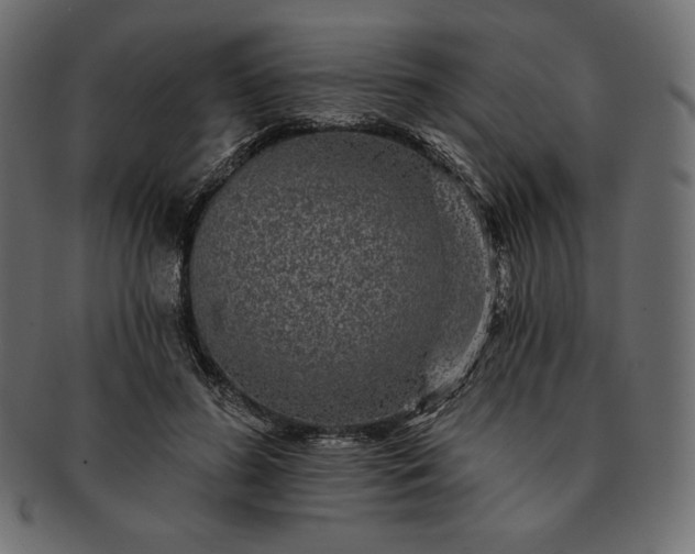 X0000091700596200709071350