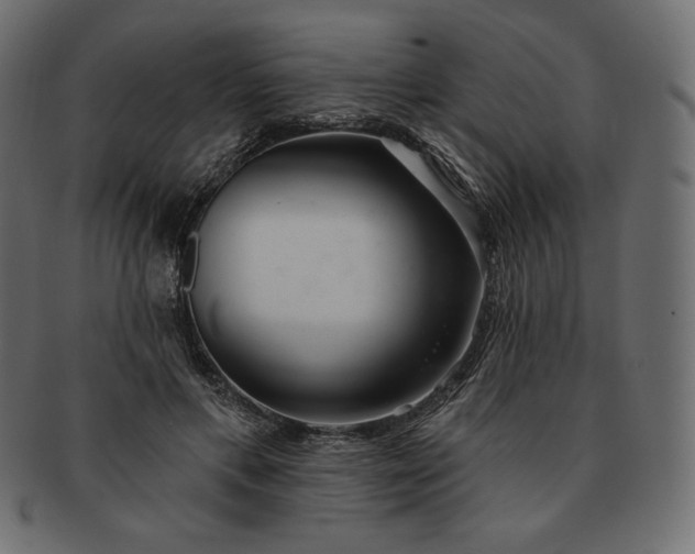 X0000091700597200709071350