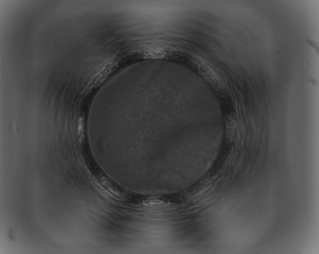 X0000091700598200709071350