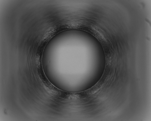 X0000091700599200709071350