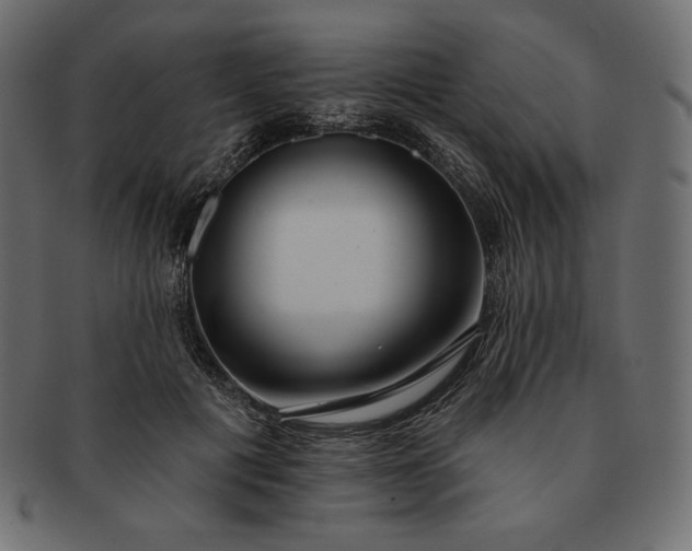 X0000091700601200709071350