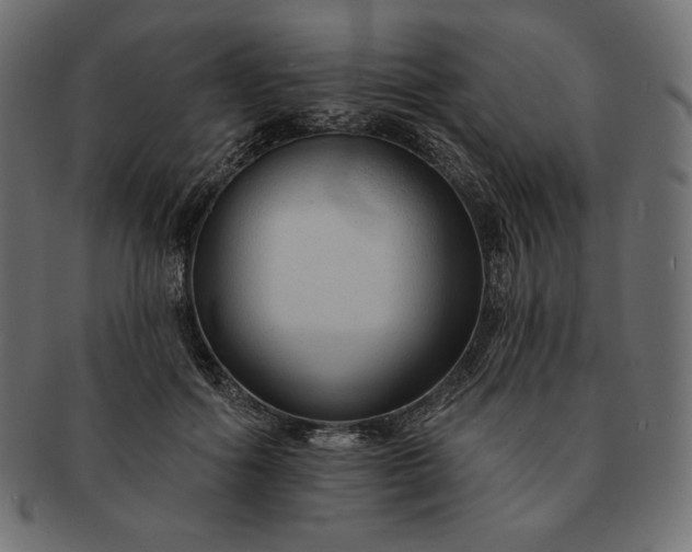 X0000091700602200709071350