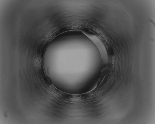 X0000091700604200709071350