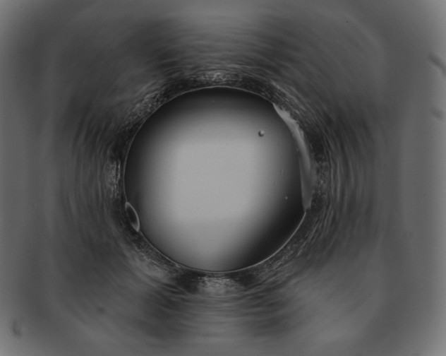 X0000091700605200709071350