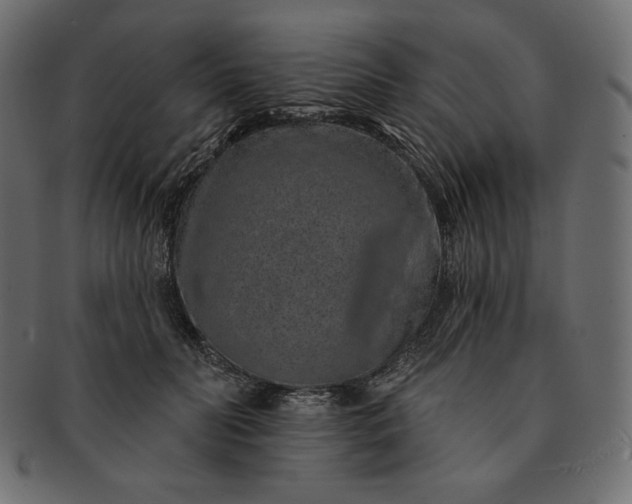 X0000091700606200709071350