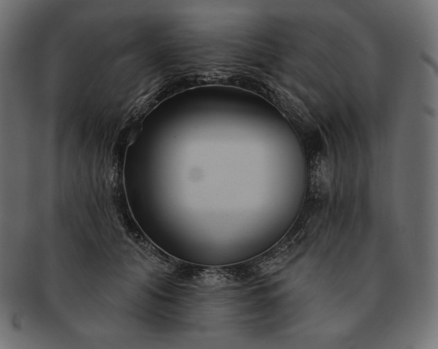 X0000091700608200709071350