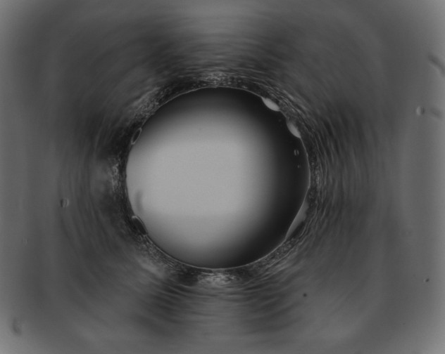 X0000091700611200709071350