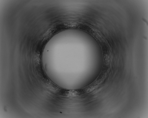 X0000091700612200709071350