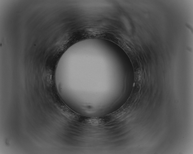 X0000091700615200709071350