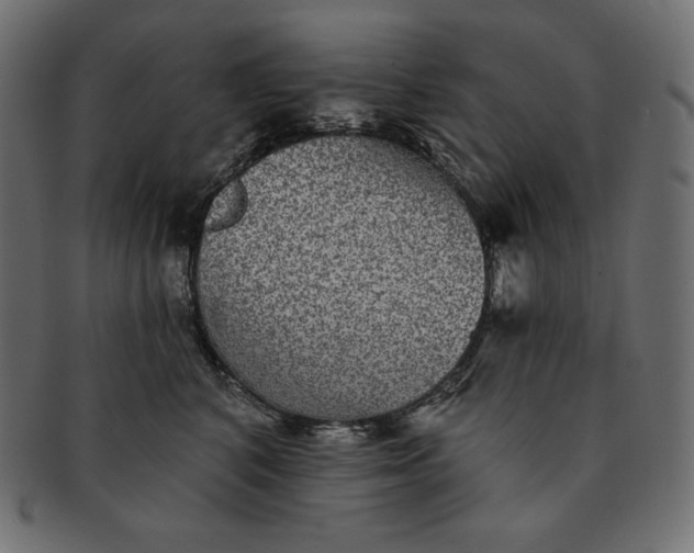 X0000091700616200709071350