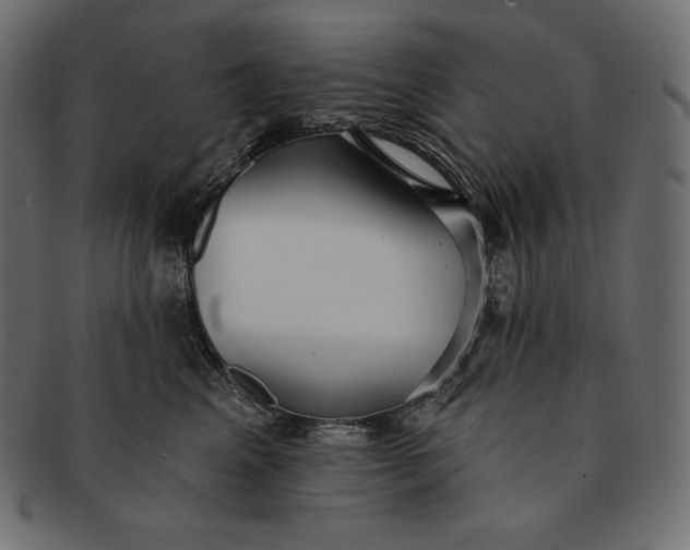 X0000091700617200709071350